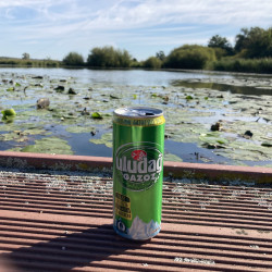 Benutzer